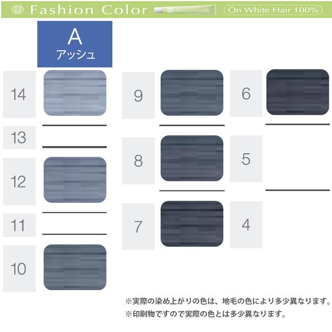 ホーユー プロステップ ファッションカラー 第1剤 A アッシュ / 80g | PROSTEP | 08