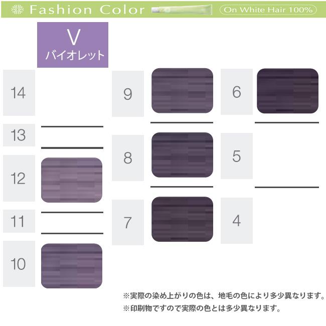 ホーユー プロステップ ファッションカラー 第1剤 V バイオレット / 80g | PROSTEP | 07
