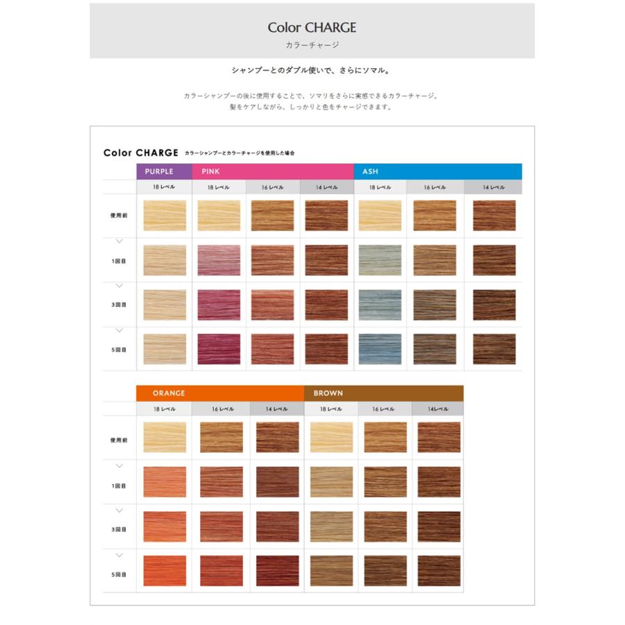 ホーユー ソマルカ カラーチャージ アッシュ / 750g | hoyu | 05