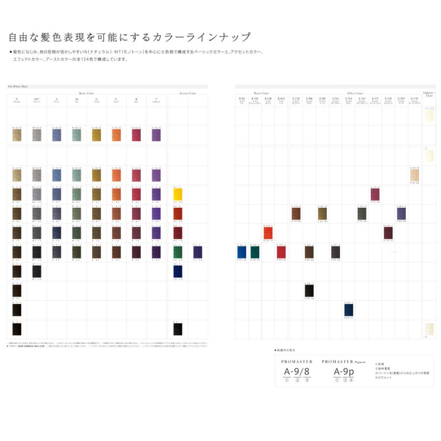ホーユー プロフェッショナル プロマスター ベーシックカラー R ルビー 80g | hoyu | 07