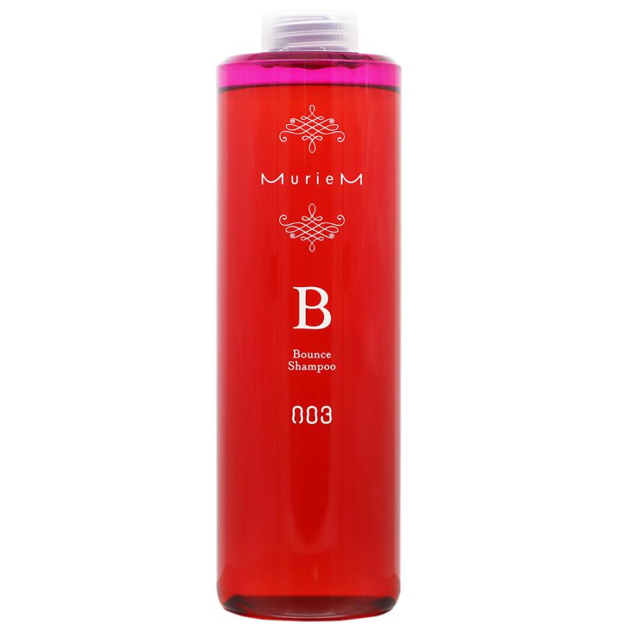 [ポンプ別売り]ナンバースリー ミュリアム シャンプー B / 660mL | ブランド登録なし