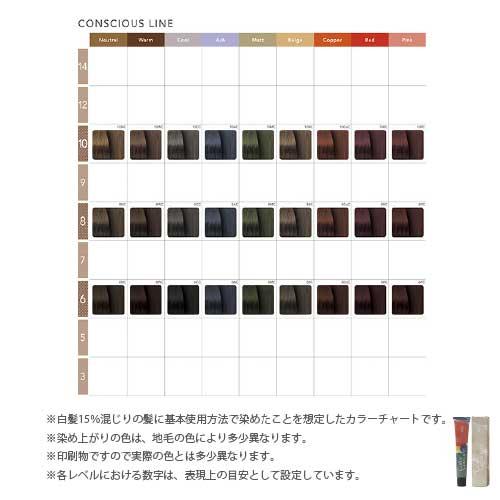 ナンバースリー カラーコンシャス コンシャスライン 第1剤 カッパー / 80g 【 ヘアカラー アルカリ性カラー おしゃれ染め 】 | ブランド登録なし | 04