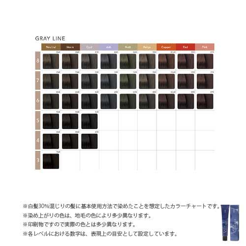 ナンバースリー カラーコンシャス グレイライン 第1剤 マット / 80g 【 ヘアカラー アルカリ性カラー 白髪染め 】 | ブランド登録なし | 05