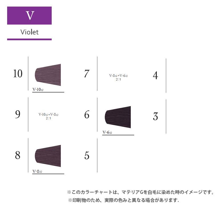 LebeL（ルベル） マテリア G プライマリーシェード V バイオレット 第1