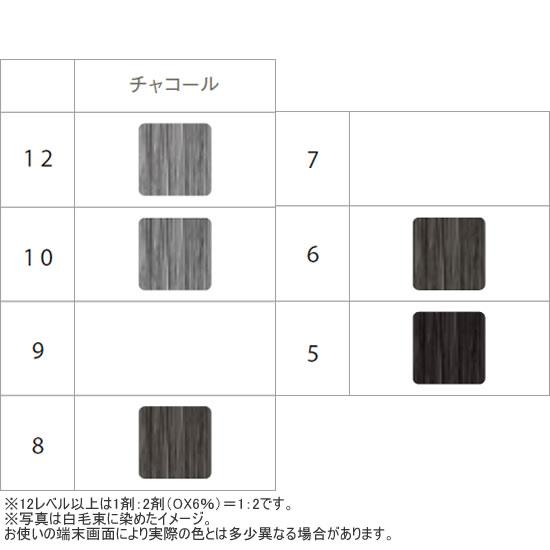 アリミノ カラーストーリー アドミオ 第1剤 CH（チャコール） / 90g | カラーストーリー | 06