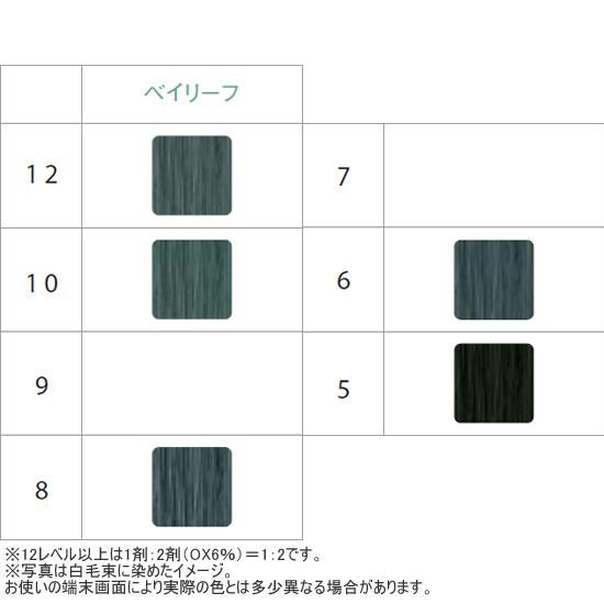 アリミノ カラーストーリー アドミオ 第1剤 BA（ベイリーフ） / 90g | カラーストーリー | 06