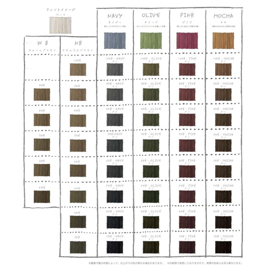 MEiRY リアル化学 メイリー セゼ クロス ベースカラー NB