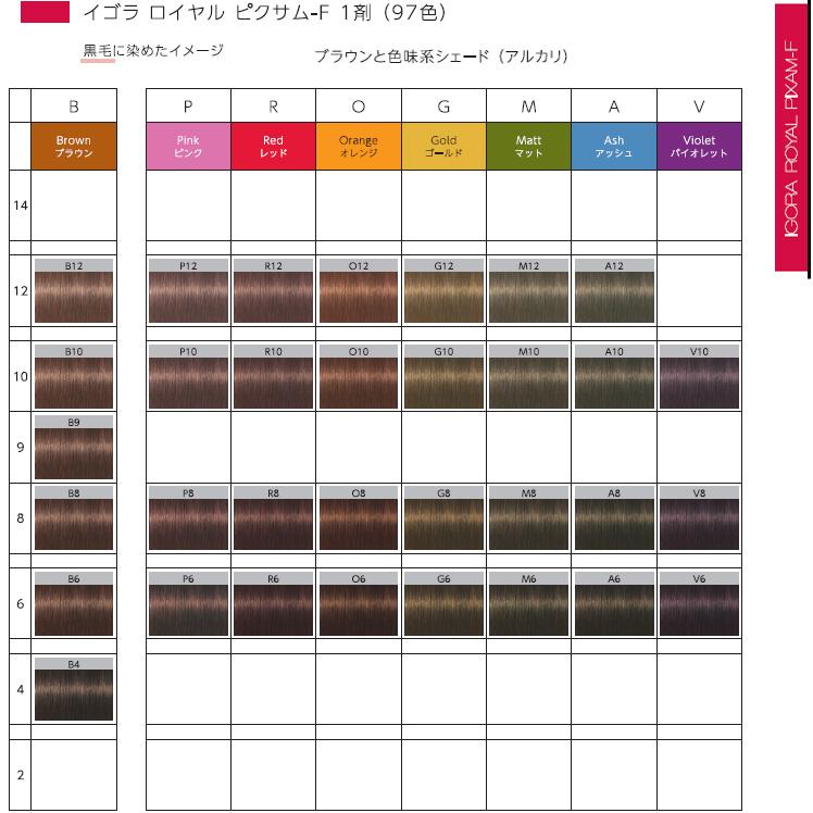 シュワルツコフ イゴラ ロイヤル ピクサム-F ブラウンと色味系シェード O オレンジ 第1剤 / 80g | IGORA ROYAL | 05