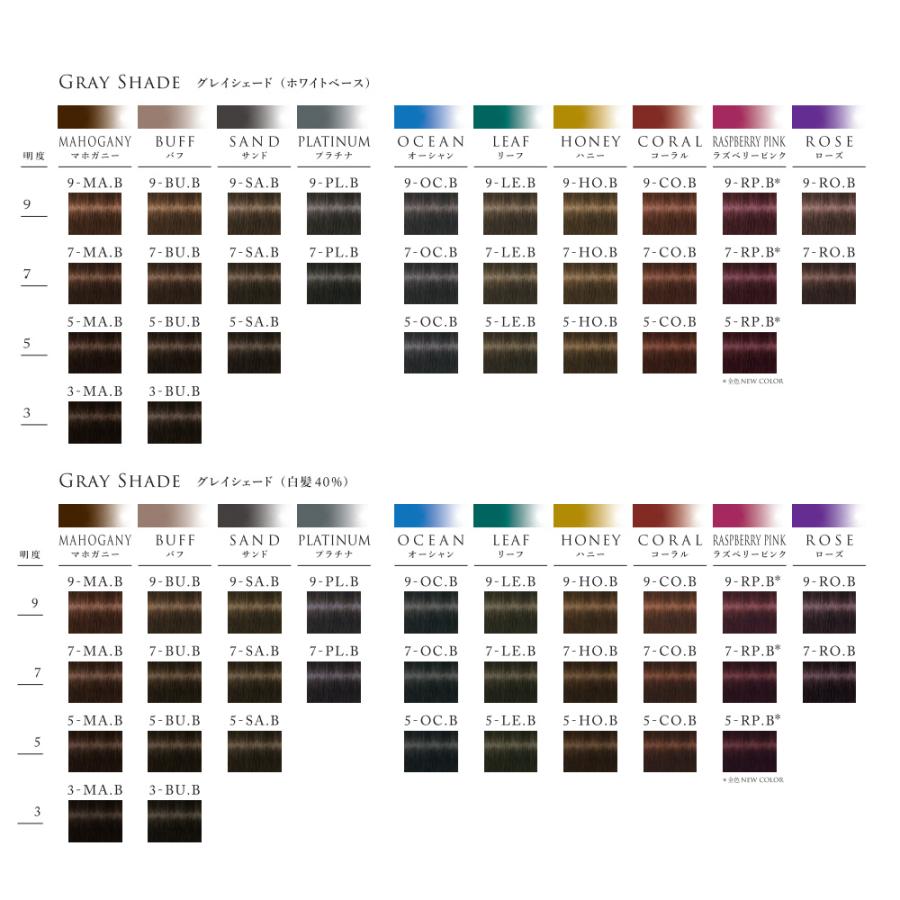 シュワルツコフ テラ byエッセンシティ デベロッパー 第2剤 1000g ヘアカラー カラー剤 サロン業務用 アルカリ性カラー 美容師 プロ用 | Schwarzkopf PROFESSIONAL | 04