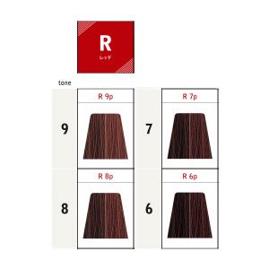 ナカノ キャラデコ パブェ アクティブゾーン R レッド 第1剤 / 80g | caradeco | 06