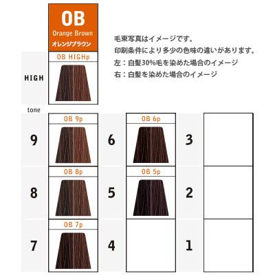 ナカノ キャラデコ パブェ ベーシックゾーン OB オレンジブラウン 第1剤 / 80g | caradeco | 07