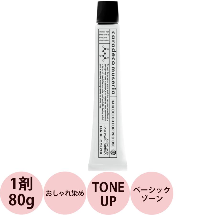 ナカノ キャラデコ パブェ ベーシックゾーン TONE UP 第1剤 / 80g | caradeco