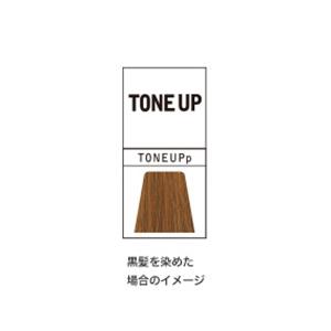 ナカノ キャラデコ パブェ ベーシックゾーン TONE UP 第1剤 / 80g | caradeco | 02
