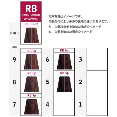 ナカノ キャラデコ パブェ ベーシックゾーン RB ローズブラウン 第1剤 / 80g | caradeco | 07