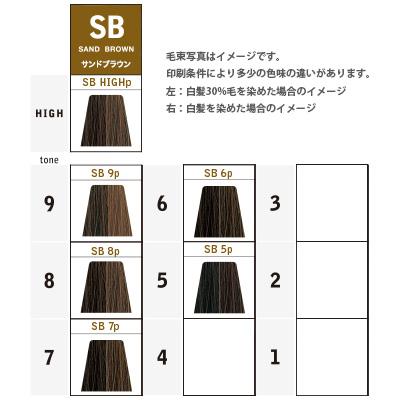 ナカノ キャラデコ パブェ ベーシックゾーン SB サンドブラウン 第1剤 / 80g | caradeco | 07