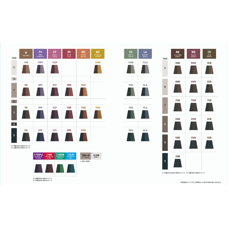 ナカノ サスティノ 第1剤 NB（ニュートラルブラウン） 80g ヘアカラー 白髪染め グレイカラー 低刺激 サロン業務用 染毛剤 プロ用 美容師 SUSTINO | サスティノ | 07