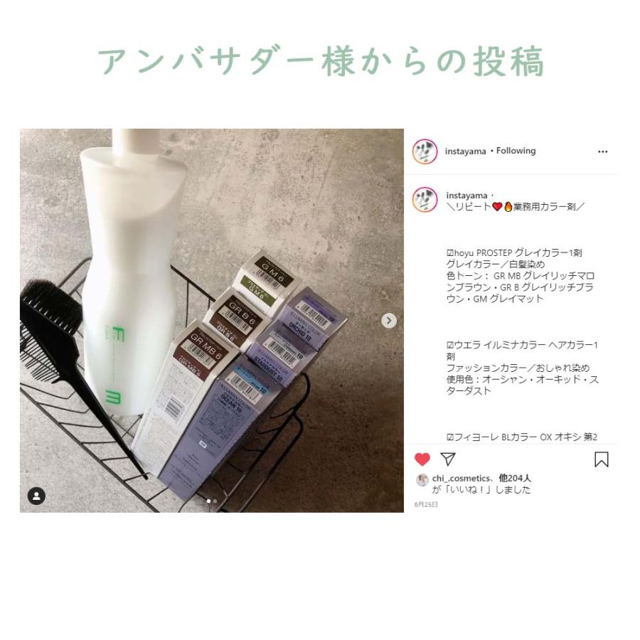 フィヨーレ カラー剤 100本 【公式通販】