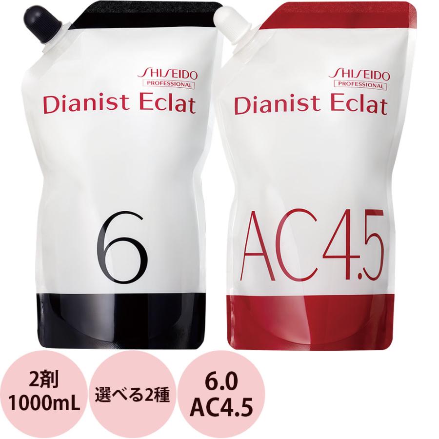 資生堂プロフェッショナル ディアニスト エクラ デベロッパー / 1000mL | Dianist Eclat