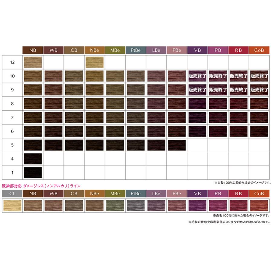 資生堂　プリミエンス　カラー剤 プリミエンス C/BL x 80g – DD