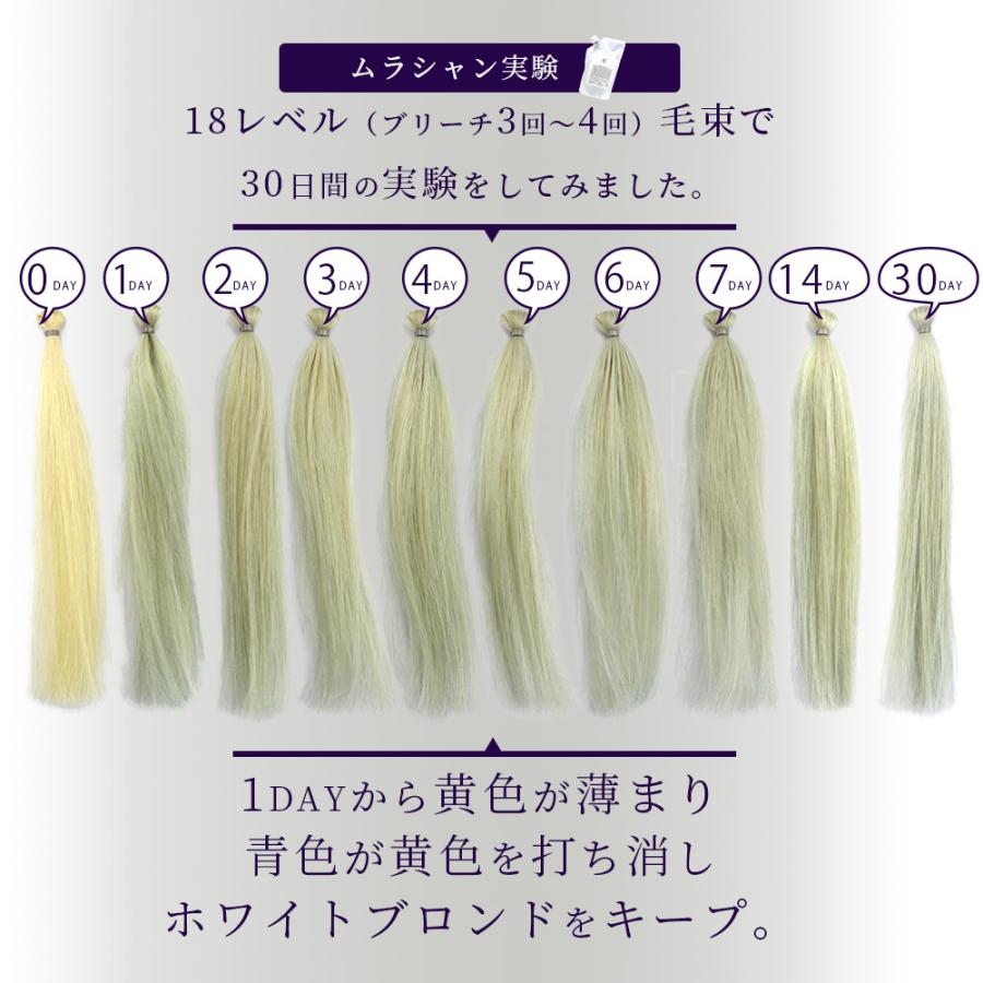 ビューティシモ CCシャンプー （ピンク） / 500mLリフィル（4540688973556/4540688971231） | ブランド登録なし | 09