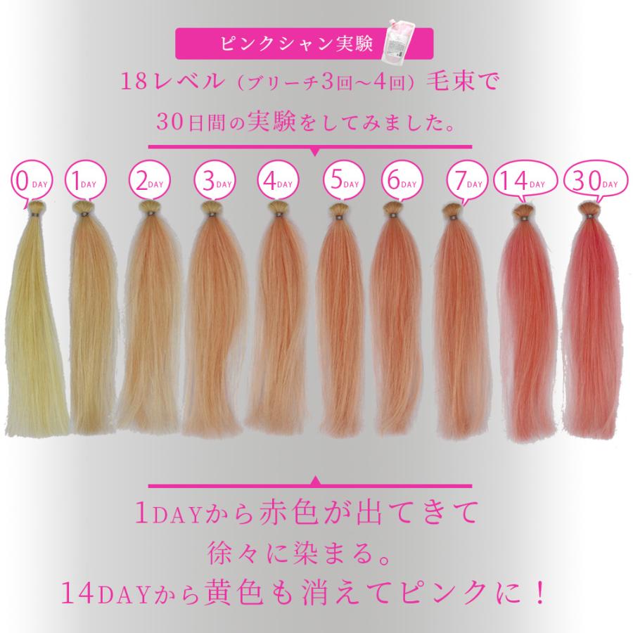 ビューティシモ CCシャンプー （ピンク） / 500mLリフィル（4540688973556/4540688971231） | ブランド登録なし | 11