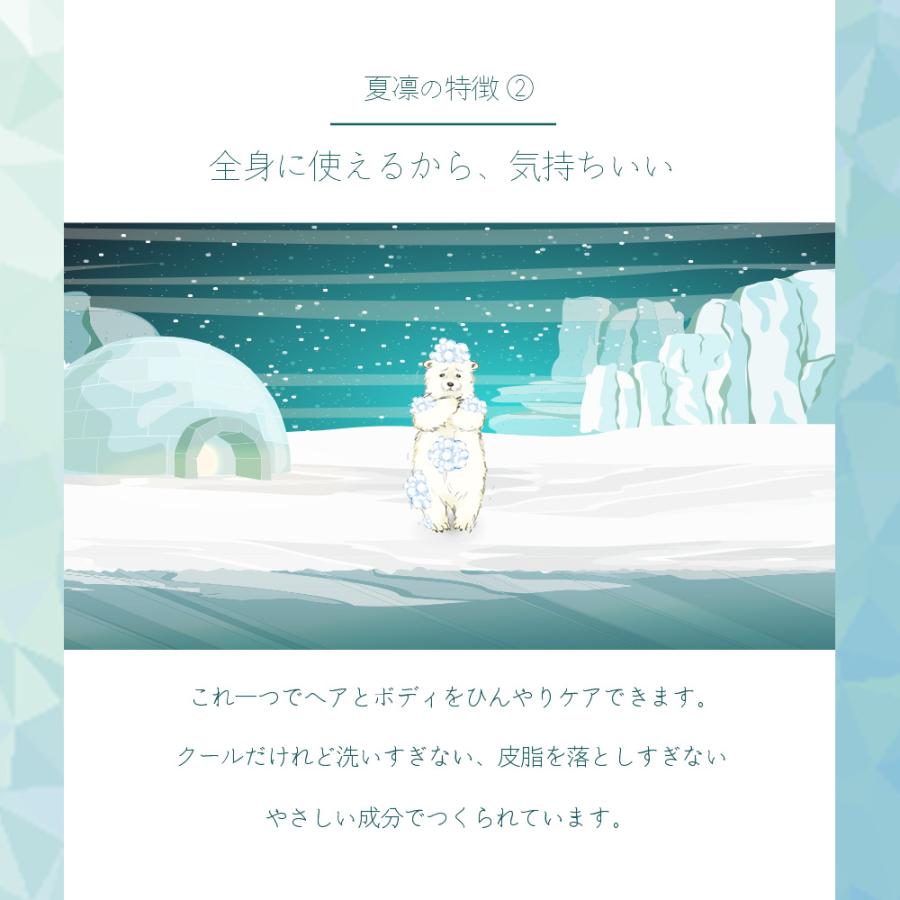 シャンプー クール KARIN 夏凛 全身シャンプー 600mL ミント クール 冷たい 女性 泡シャンプー ボディソープ 美容師 サロン専売品 おすすめ 2025 ビューティシモ | ブランド登録なし | 05