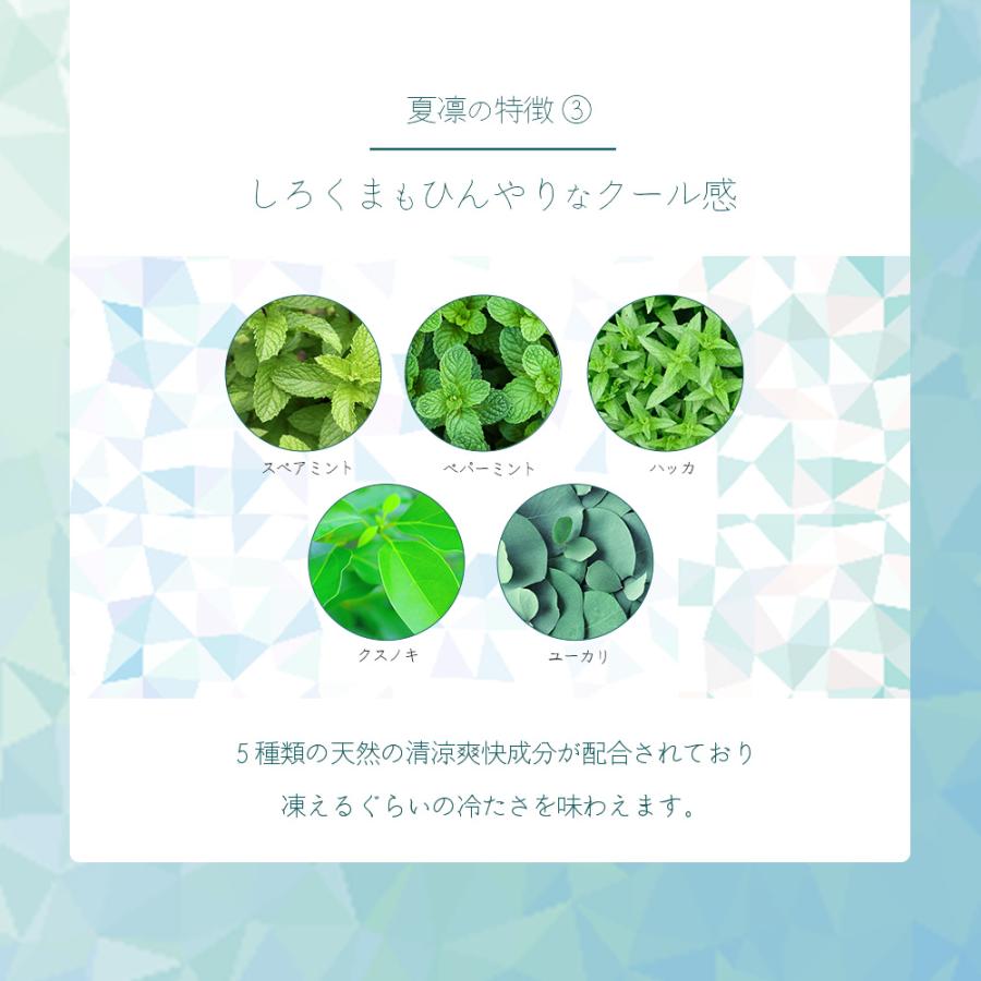 シャンプー クール KARIN 夏凛 全身シャンプー 600mL ミント クール 冷たい 女性 泡シャンプー ボディソープ 美容師 サロン専売品 おすすめ 2025 ビューティシモ | ブランド登録なし | 06