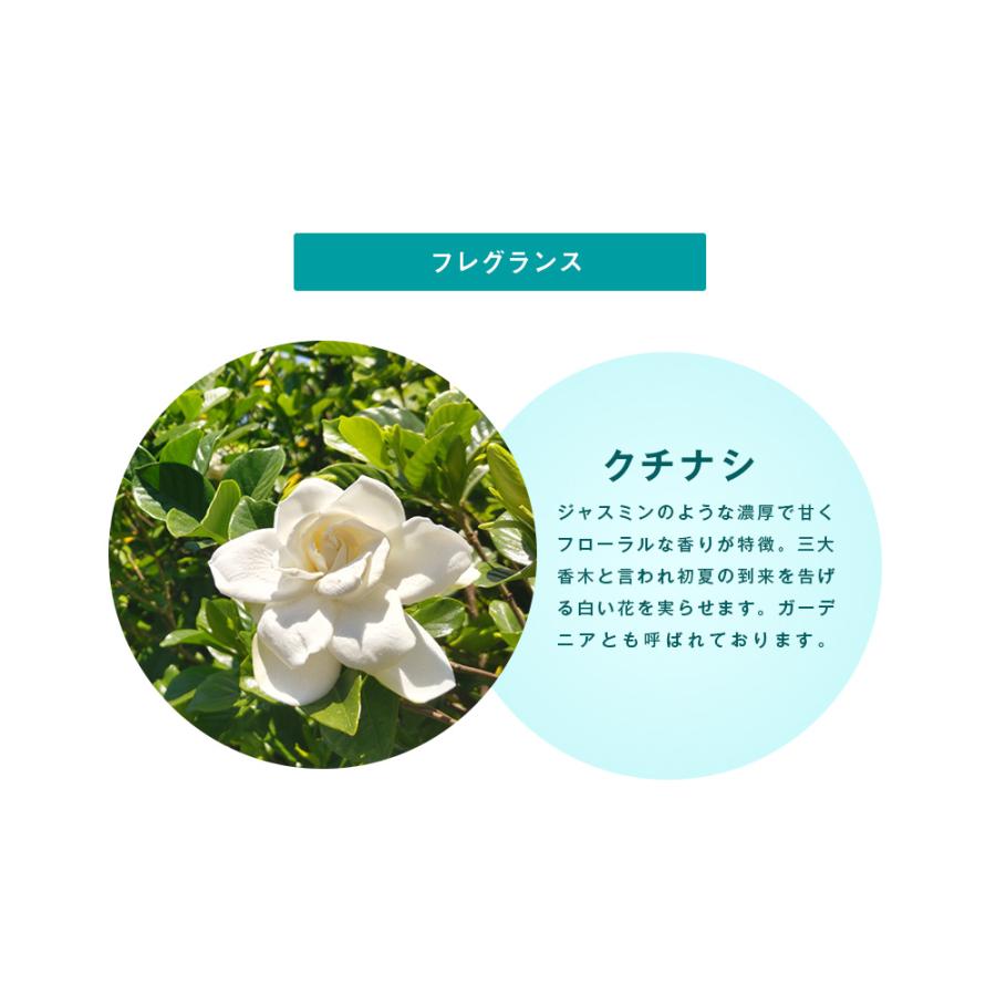 ビューティシモ フローリム スキャルプトナー / 200g(4540688974324) | NASEED | 10