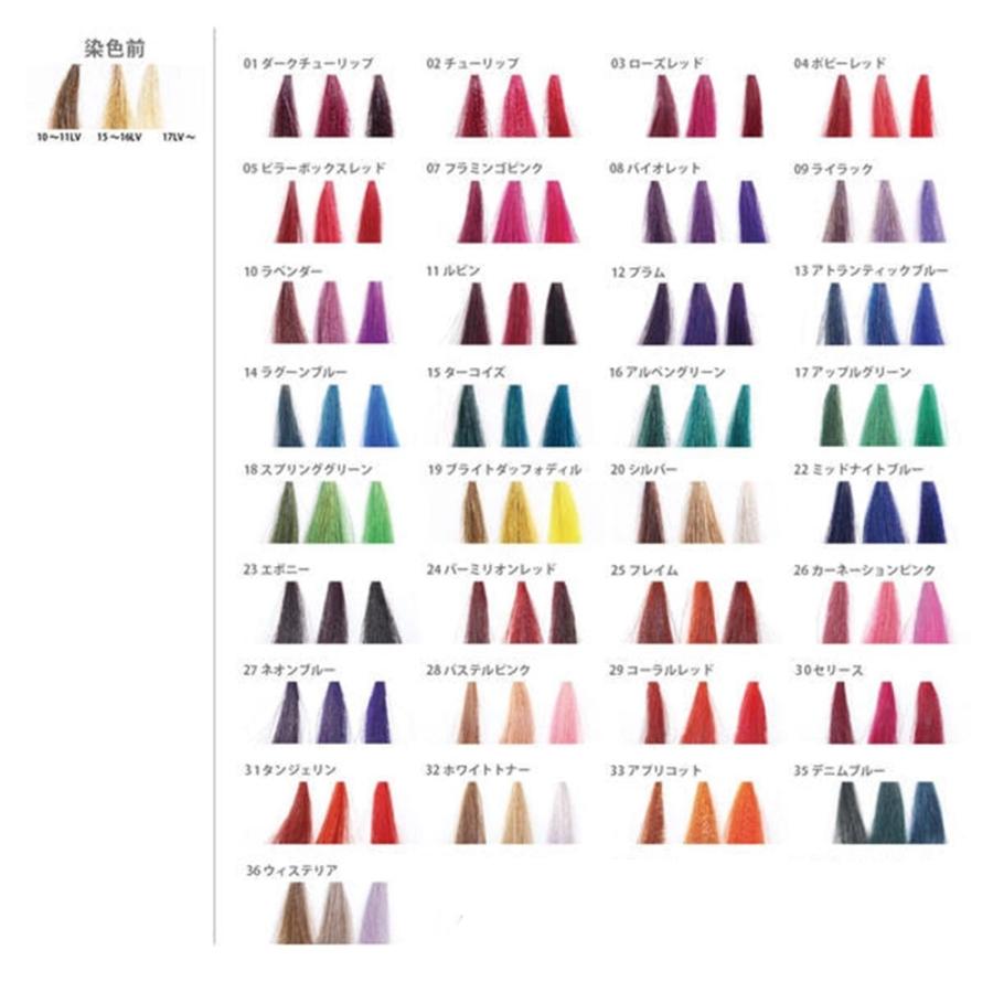 ディレクション カラー 14 ラグーンブルー 100mL ヘアカラー 塩基性カラー サロン専売品 おすすめ 人気 ALES Directions | アレスプランニング | 01