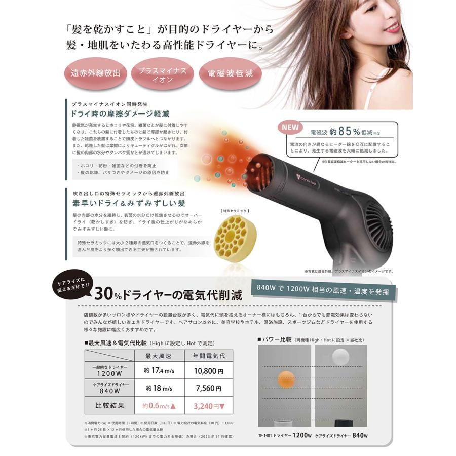 carerise （マットグレー6月中旬以降入荷予定）ケアライズ ヘア