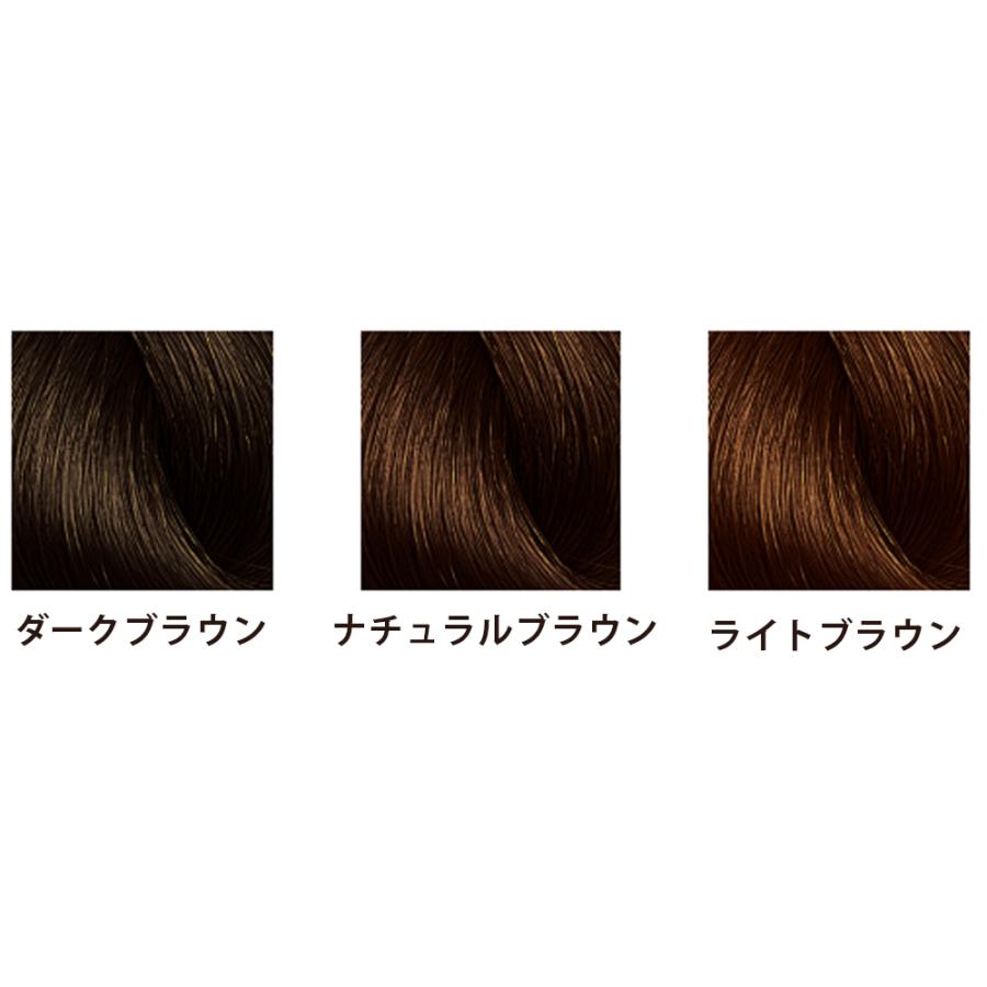 アモロス 黒彩 ヘアファンデーション 全3色 8gリフィル 詰め替え用  ヘア カラー 白髪隠し 白髪かくし 白髪 ファンデーション サロン専売品 美容室 白髪 隠し | アモロス | 04