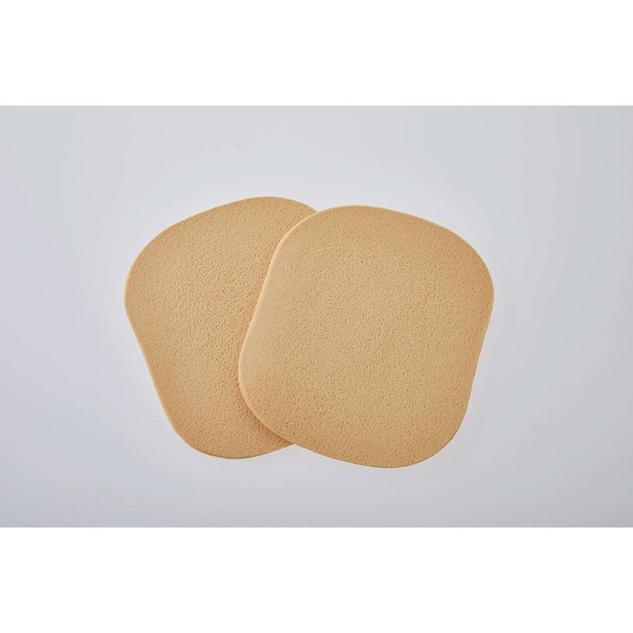 （欠品中）ボディ用圧縮大判スポンジ / 10枚入り | ブランド登録なし | 02