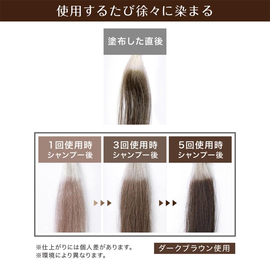 シラガネーゼ [ 白髪隠し 生え際用 ポイント用 ] ポイントリッチカラー