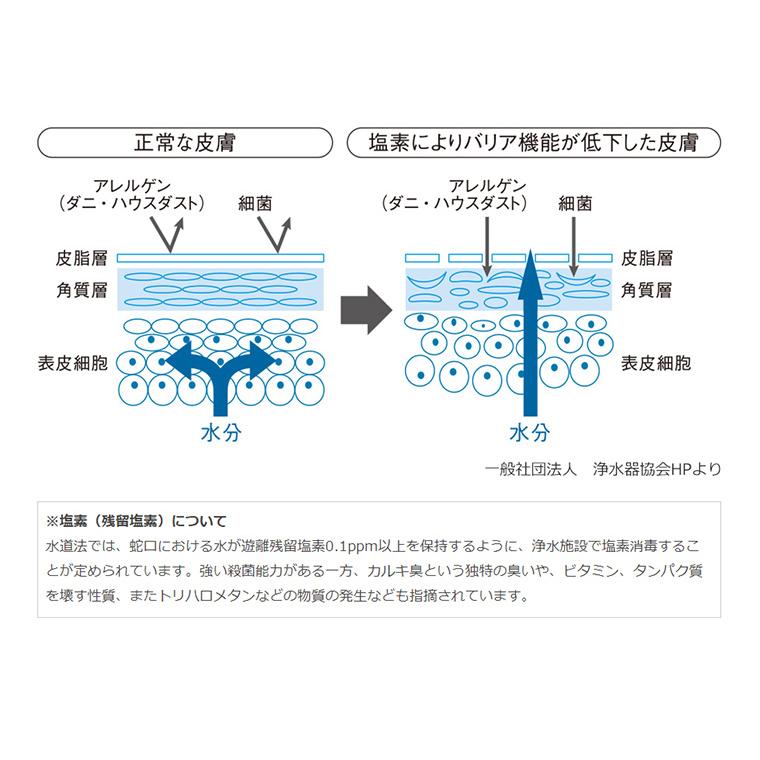 送料無料 選べる2色 ウォータークチュール 浄水シャワー WS301 ホワイト ブラック シャワーヘッド＋カートリッジ1個 三菱ケミカル クリンスイ 塩素除去 | クリンスイ | 05