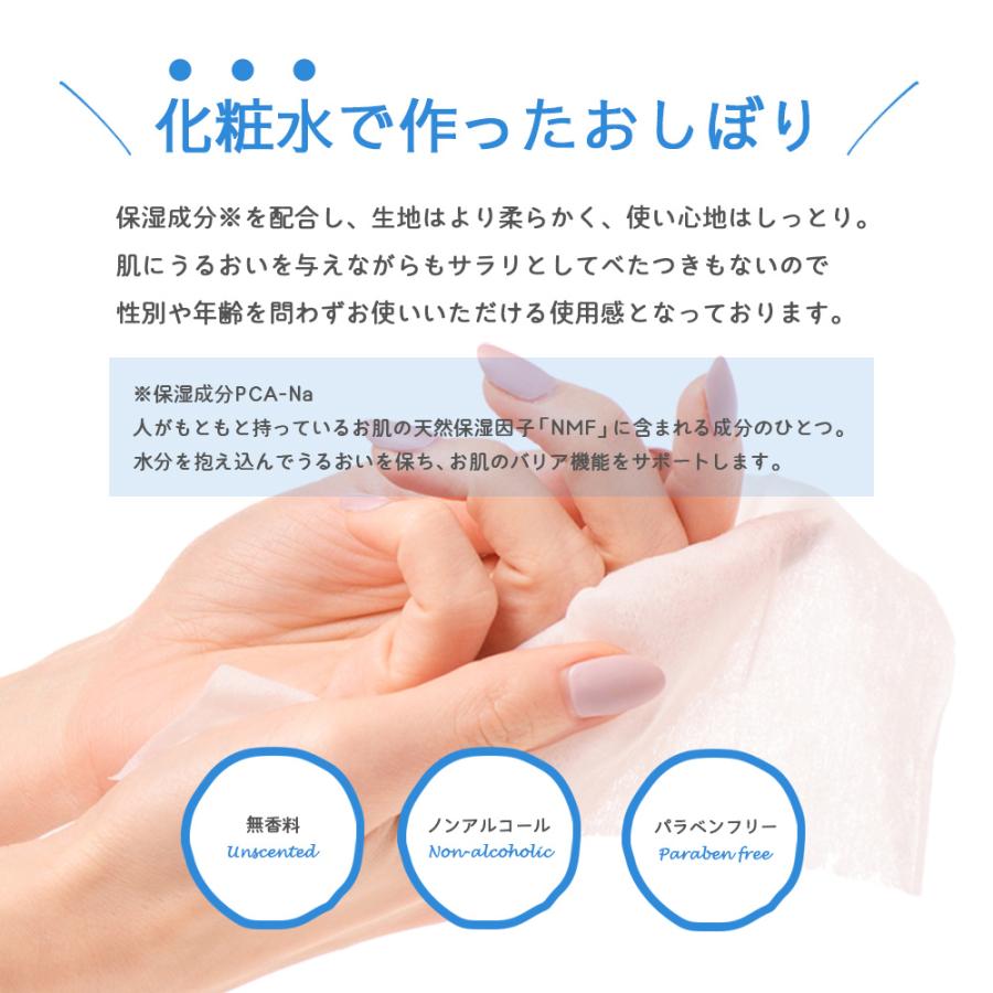 個包装 紙おしぼり 100本セット エアリー FSX AIRY BLUE/GRAY VB 使い捨ておしぼり 無香料 ノンアルコール 厚手 大判 平型 不織布 ブイビー 業務用 | ブランド登録なし | 04