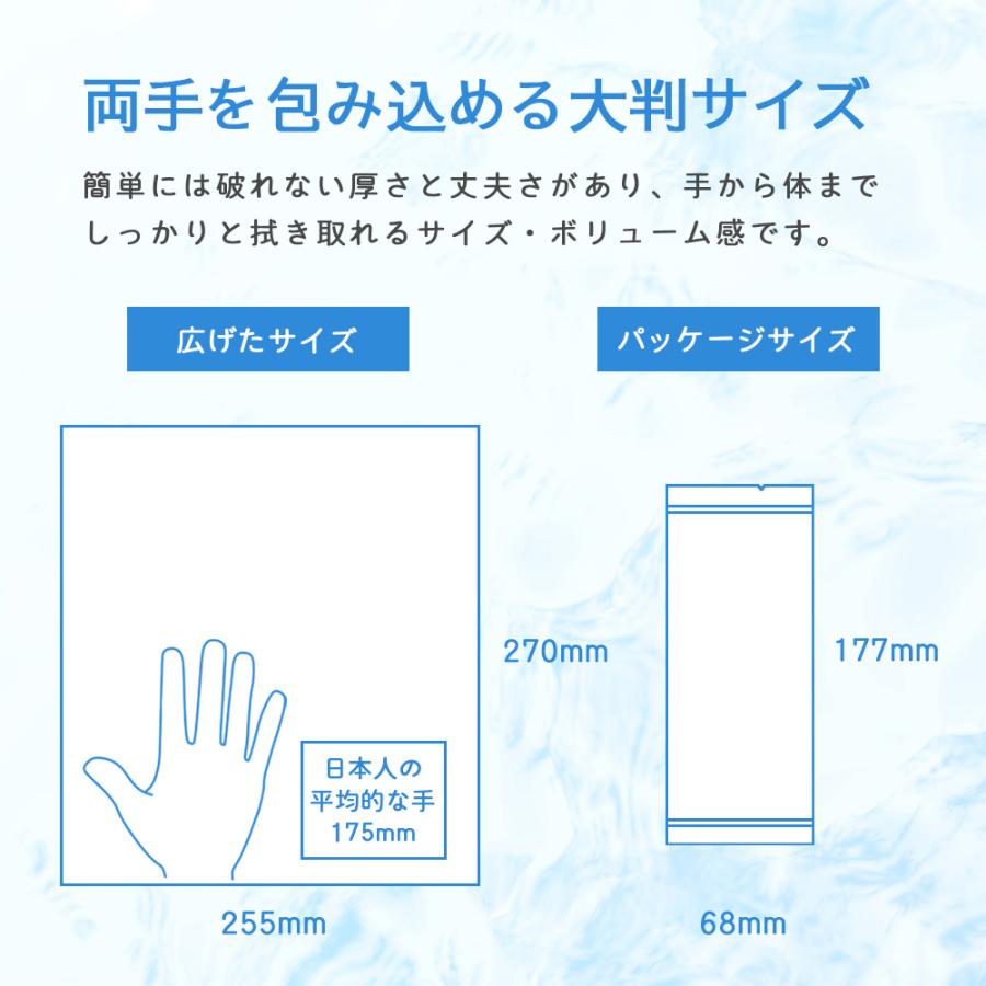 個包装 紙おしぼり 100本セット エアリー FSX AIRY BLUE/GRAY VB 使い捨ておしぼり 無香料 ノンアルコール 厚手 大判 平型 不織布 ブイビー 業務用 | ブランド登録なし | 06