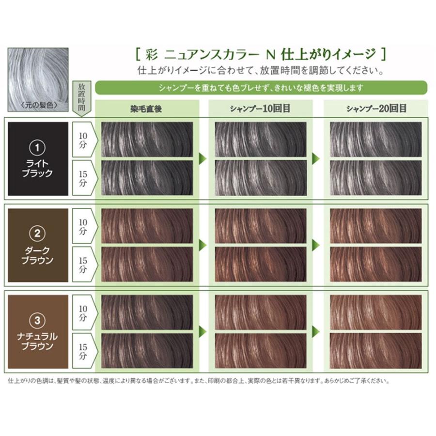 イリヤ 彩 ニュアンスカラーN 全3色 130g カラートリートメント ヘアカラー ノンジアミン ハーブエキス サロン専売品 美容師 おすすめ IRIYA | IRIYA COSMETICS | 04