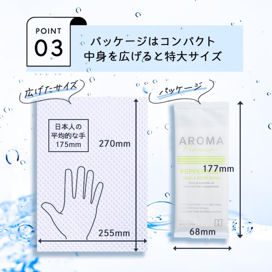 個包装 紙おしぼり 100本セット VBアロマプレミアム FSX 選べる5