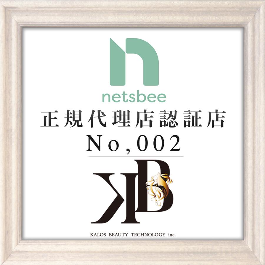 送料無料 正規品 USB グリスター ヘアアイロン ブラシ＆アイロン セット 全2色 （ダイヤモンドパール・ブラックパール） KALOS カロス ミニ ヘアアイロン ブラシ | ブランド登録なし | 03