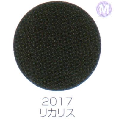 バイオスカルプチュアジェル カラージェル マット リカリス 2017 | ブランド登録なし