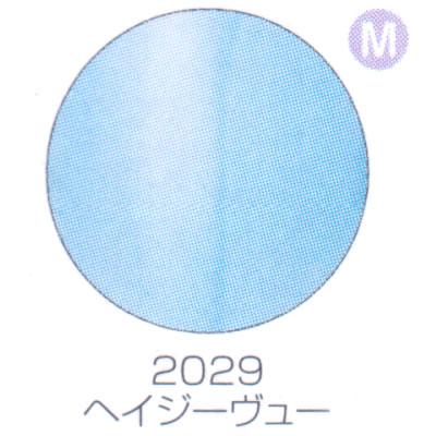 バイオスカルプチュアジェル カラージェル マット ヘイジューヴュー 2029 | ブランド登録なし