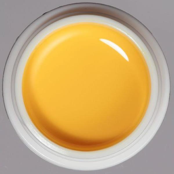 パラジェル アートライン カラージェル AR4 イエロー / 4g | ブランド登録なし