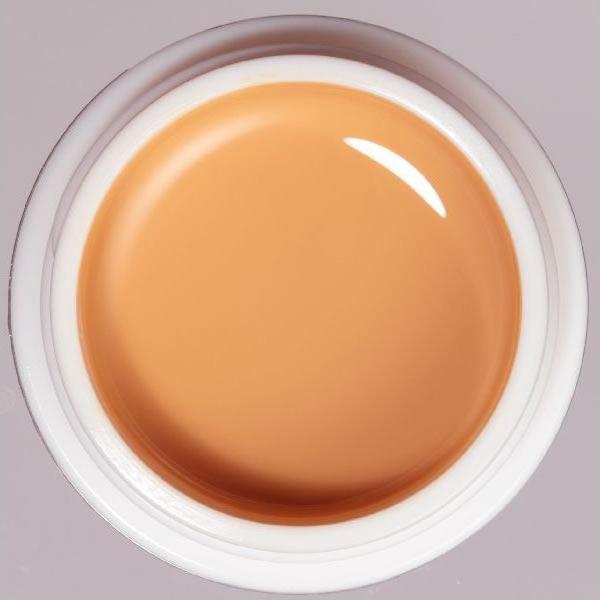 パラジェル アートライン カラージェル AR11 キャラメル / 4g | ブランド登録なし