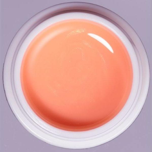 パラジェル アートライン カラージェル AS3 オレンジシャーベット / 4g | ブランド登録なし