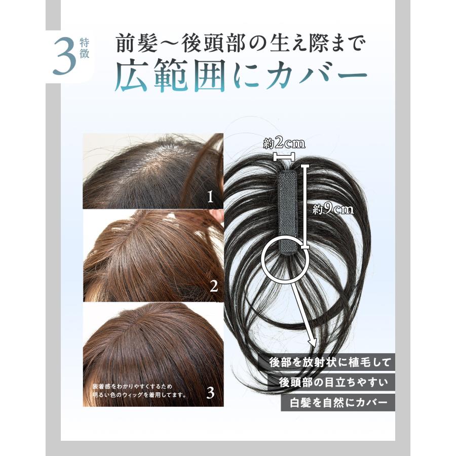 ピタッチ 白髪隠し 部分ウィッグ 前髪ウィッグ ヘアピース トップピース 軽量 自然 簡単装着 ボリュームアップ 人工毛 | ブランド登録なし | 11