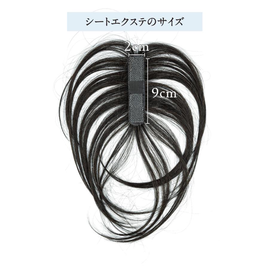 ピタッチ シートウィッグ 交換用シート 4枚入り 16mm x 40mm : プロ用