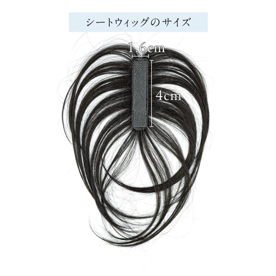 ピタッチ シートウィッグ 交換用シート 4枚入り 16mm x 40mm | ブランド登録なし | 02