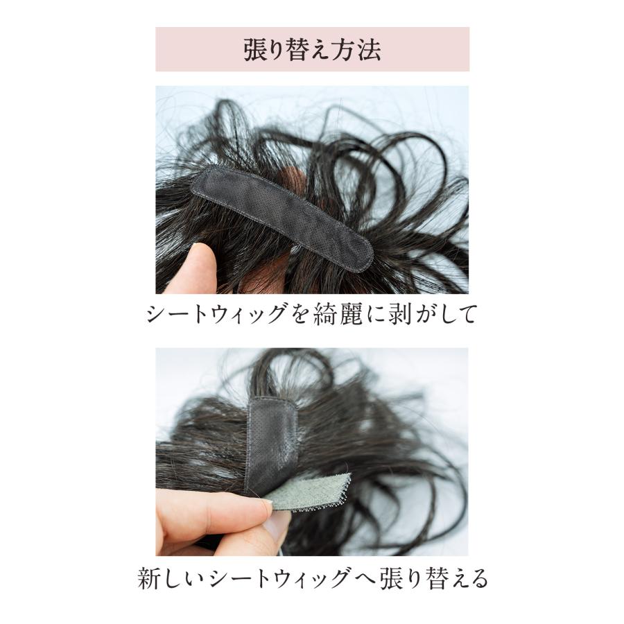 ピタッチ オールイン シートウィッグ 交換用シート 2枚入り |  | 02
