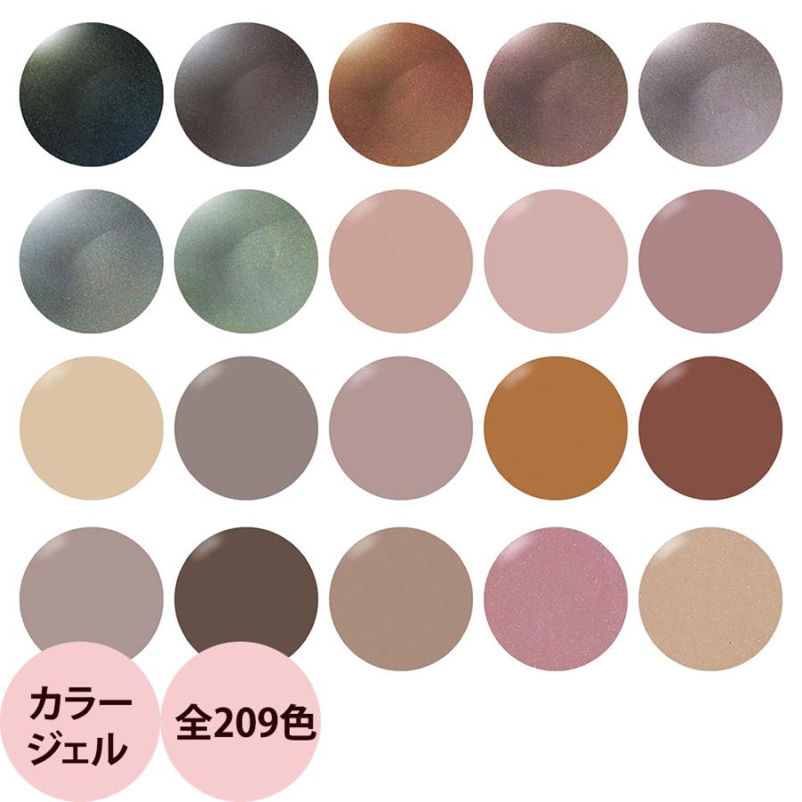 Presto プレスト カラージェル 全209色 （9） / 2.7g : プロ用ヘア