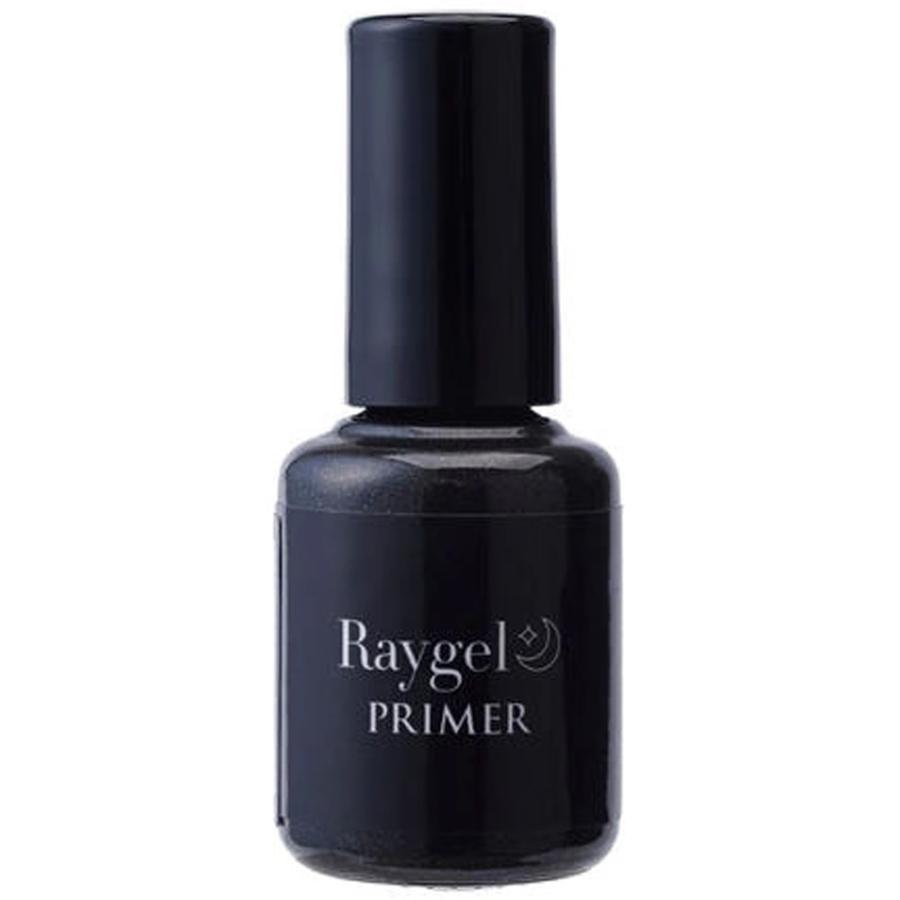 Raygel レイジェル プライマー 10g （定形外 対応） | ブランド登録なし